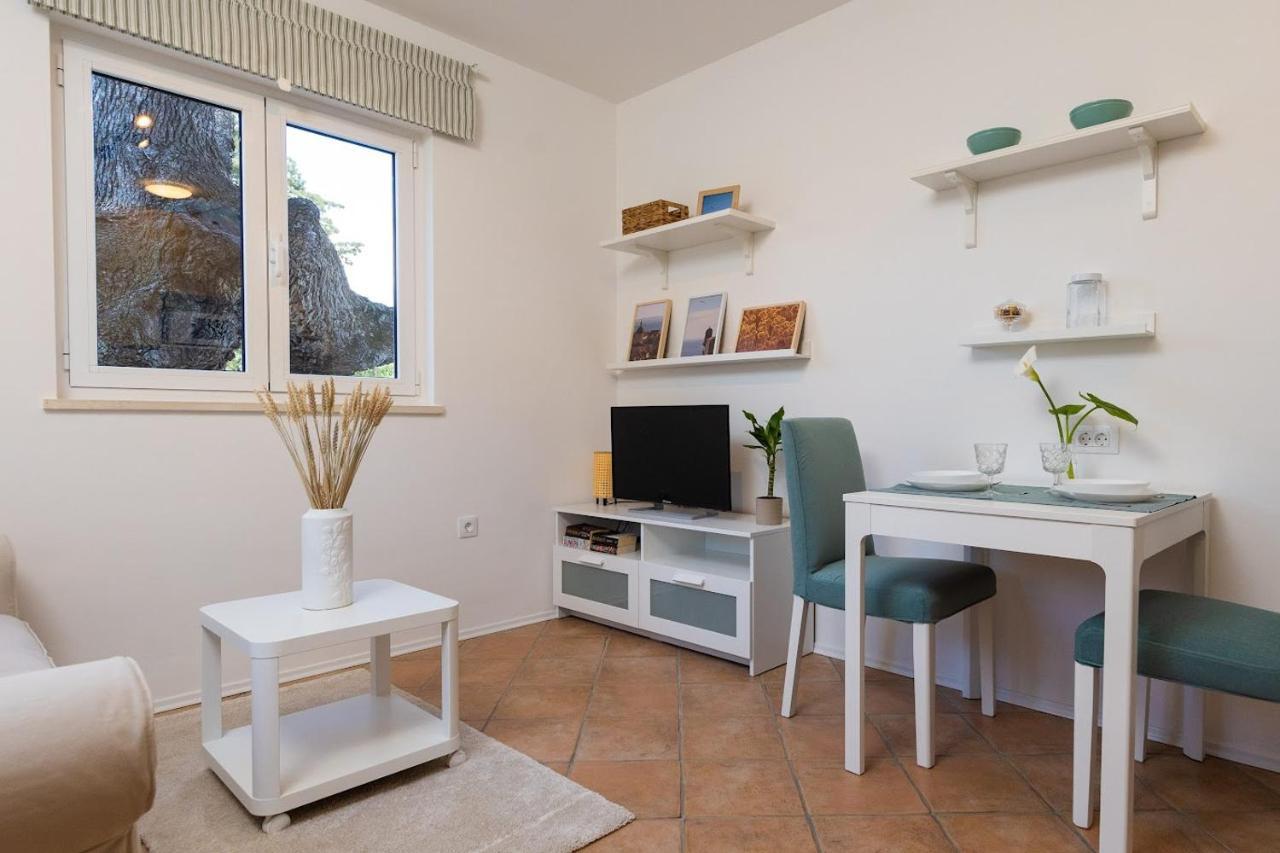 Apartamento Judita